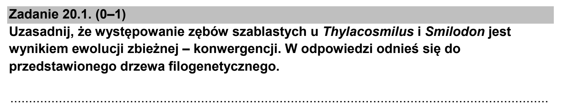 Matura, maj 2026, zadanie 20.1