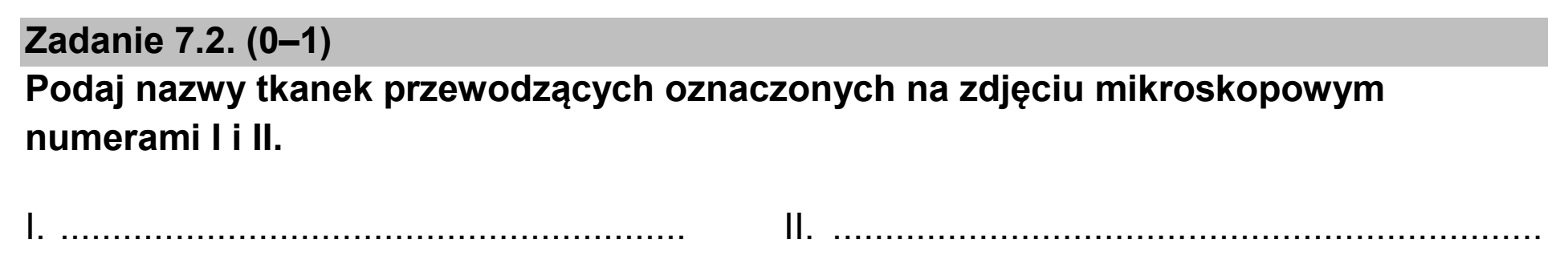 Matura, maj 2026, zadanie 7.2