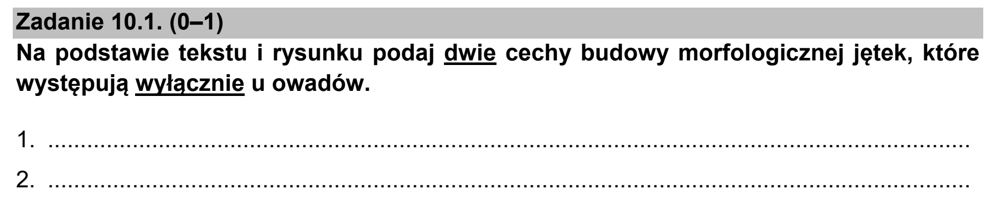 Matura próbna, marzec 2021, zadanie 10.1
