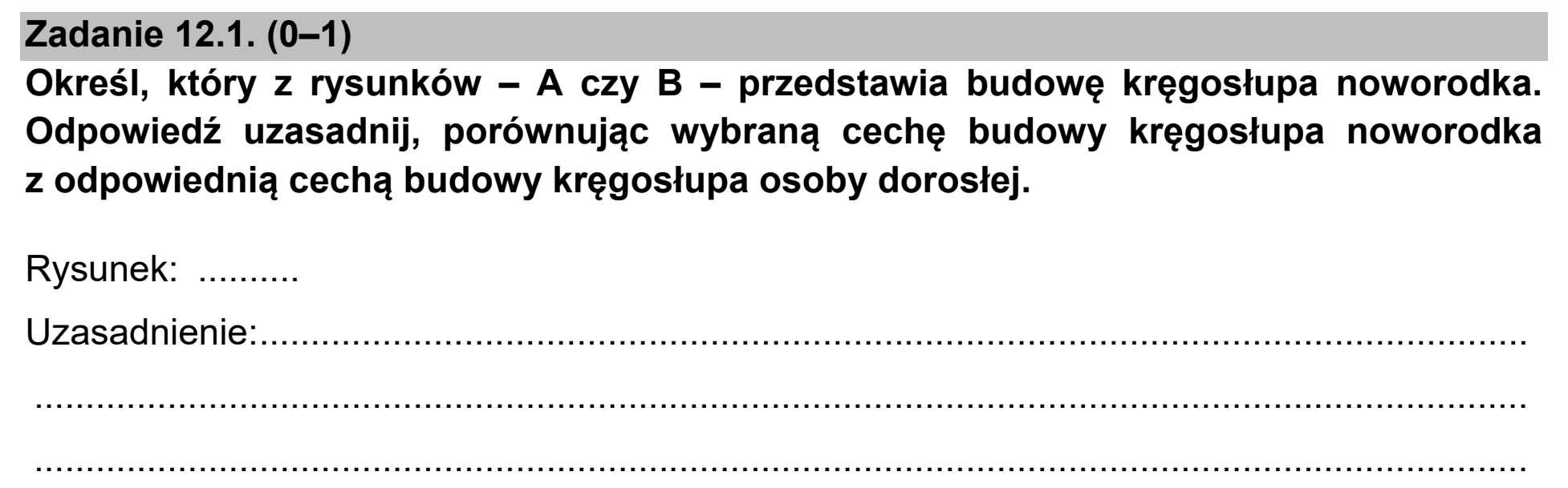 Matura próbna, marzec 2021, zadanie 12.1