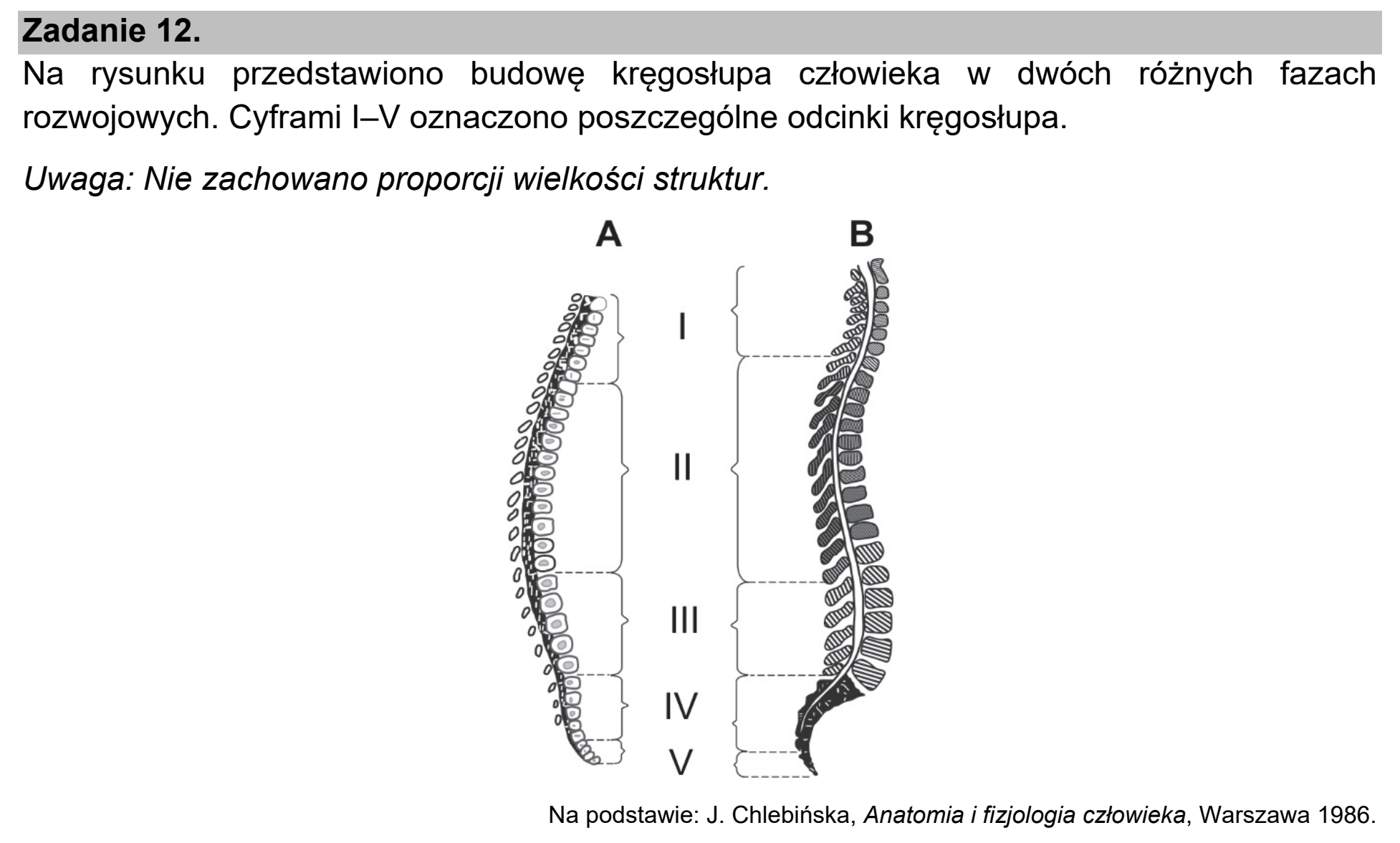 Matura próbna, marzec 2021, wstęp zadania 12