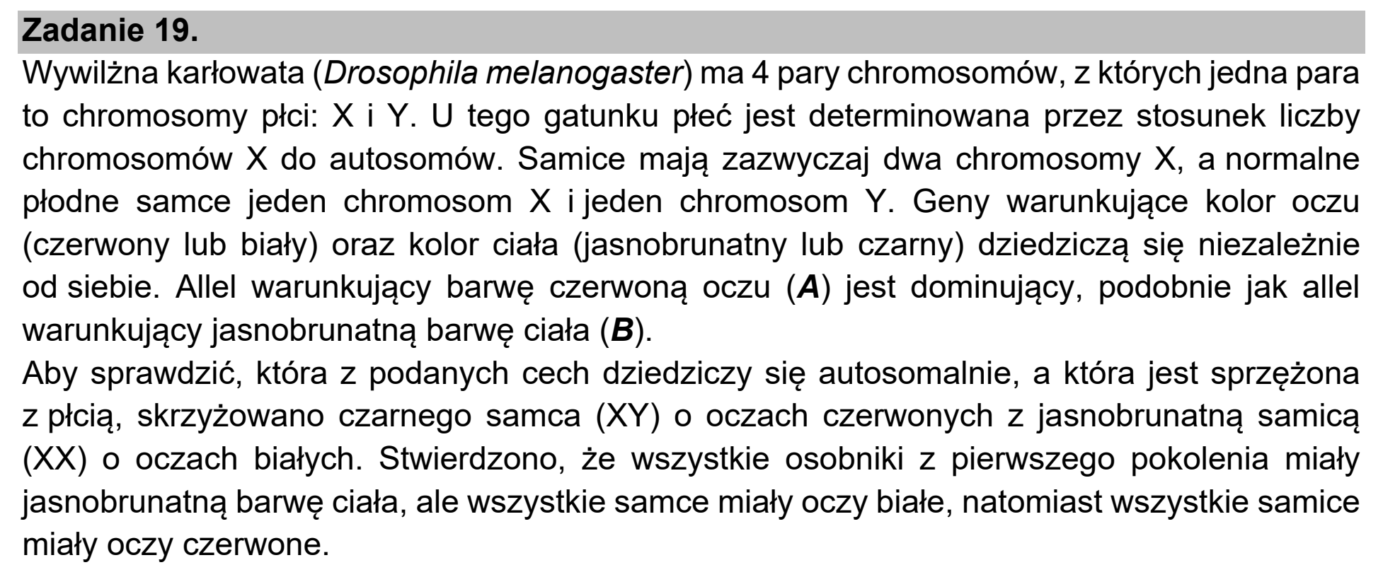 Matura próbna, marzec 2021, wstęp zadania 19