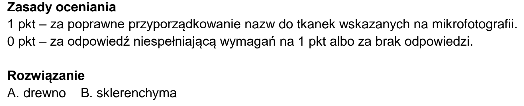 Matura dodatkowa, czerwiec 2023, odpowiedź do zadania 2