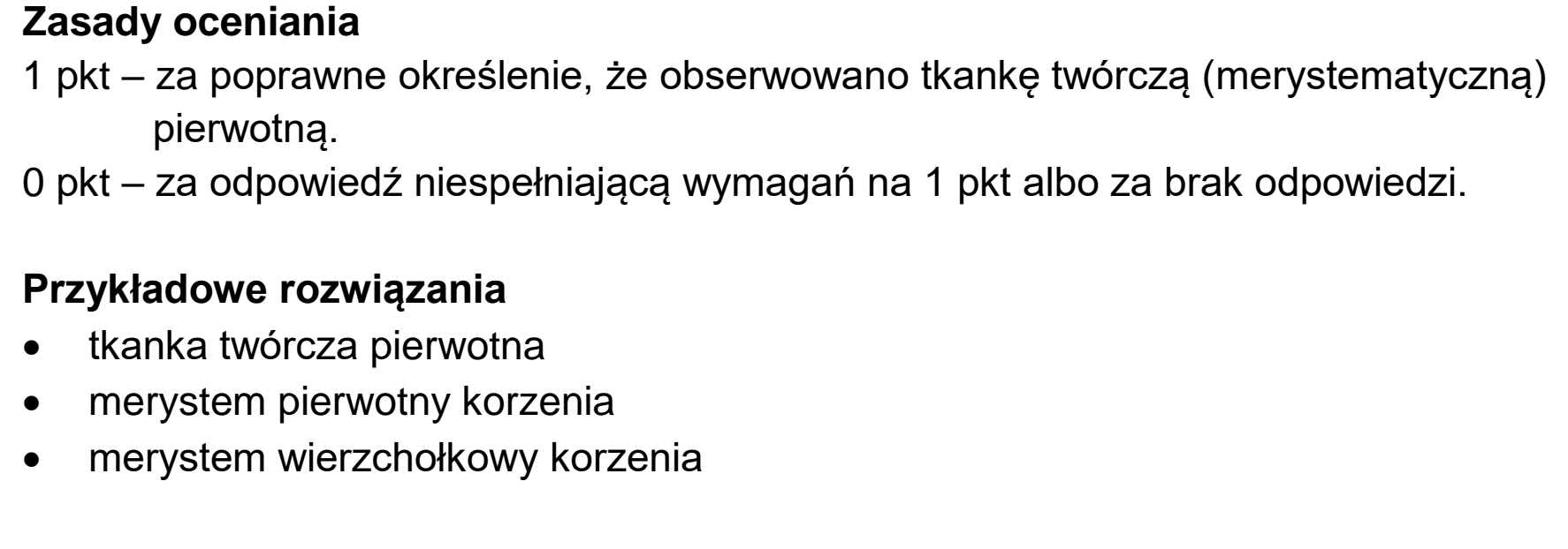 Matura dodatkowa, czerwiec 2023, odpowiedź do zadania 5.1