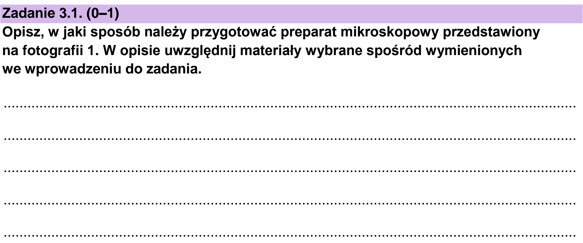 Matura dodatkowa, czerwiec 2023, zadanie 3.1