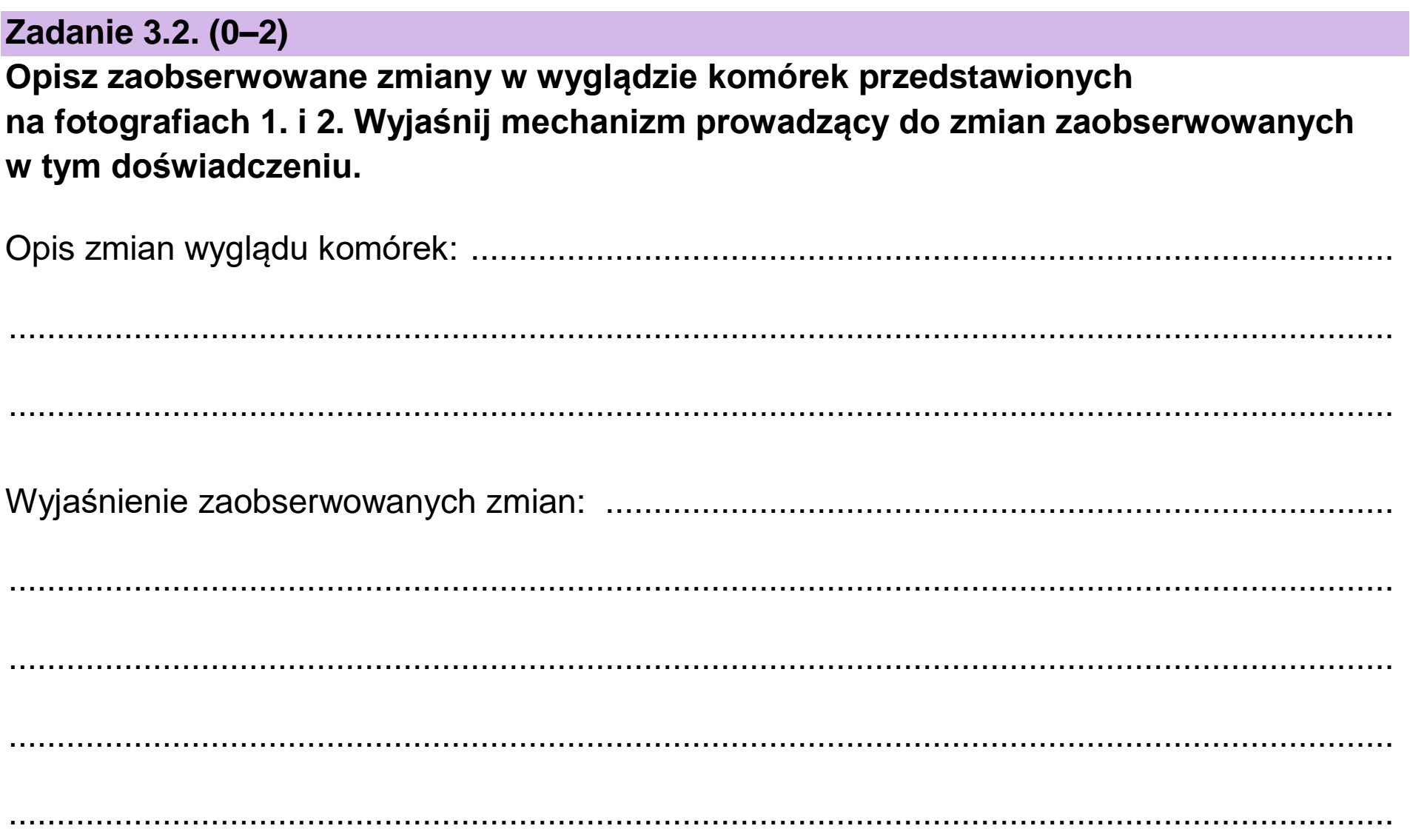 Matura dodatkowa, czerwiec 2023, zadanie 3.2