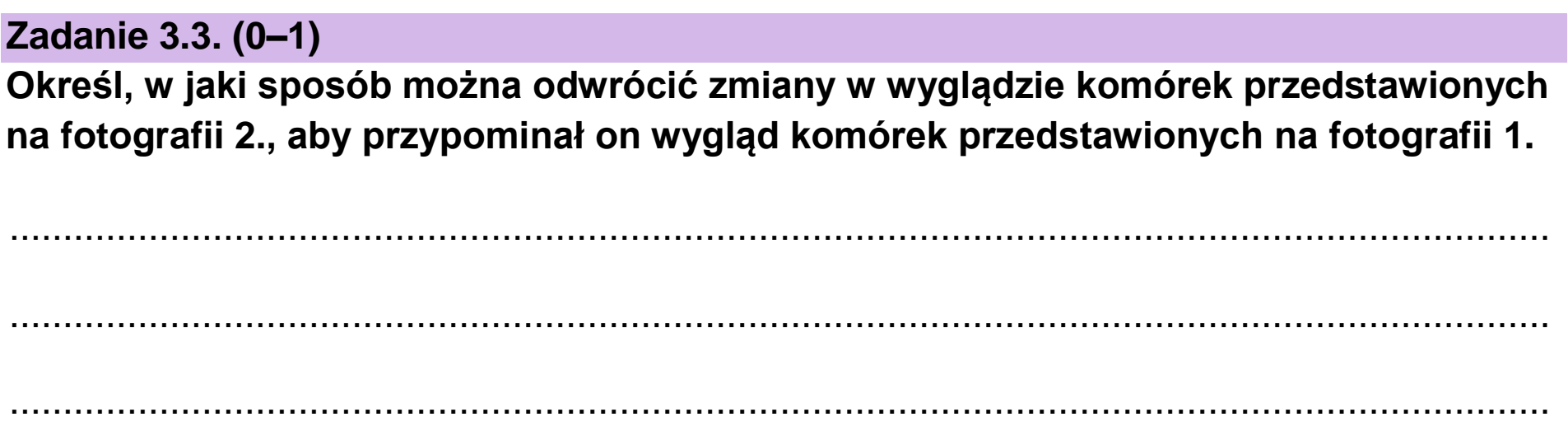 Matura dodatkowa, czerwiec 2023, zadanie 3.3