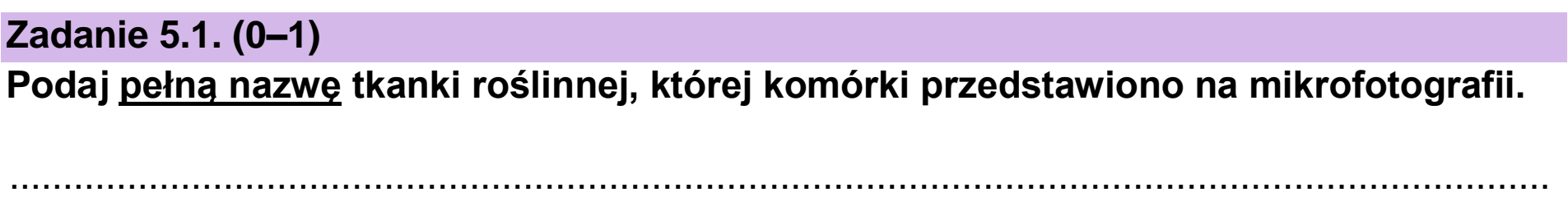 Matura dodatkowa, czerwiec 2023, zadanie 5.1