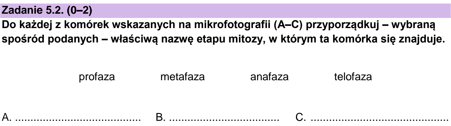 Matura dodatkowa, czerwiec 2023, zadanie 5.2