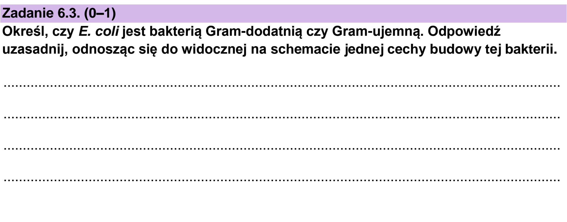 Matura dodatkowa, czerwiec 2023, zadanie 6.3