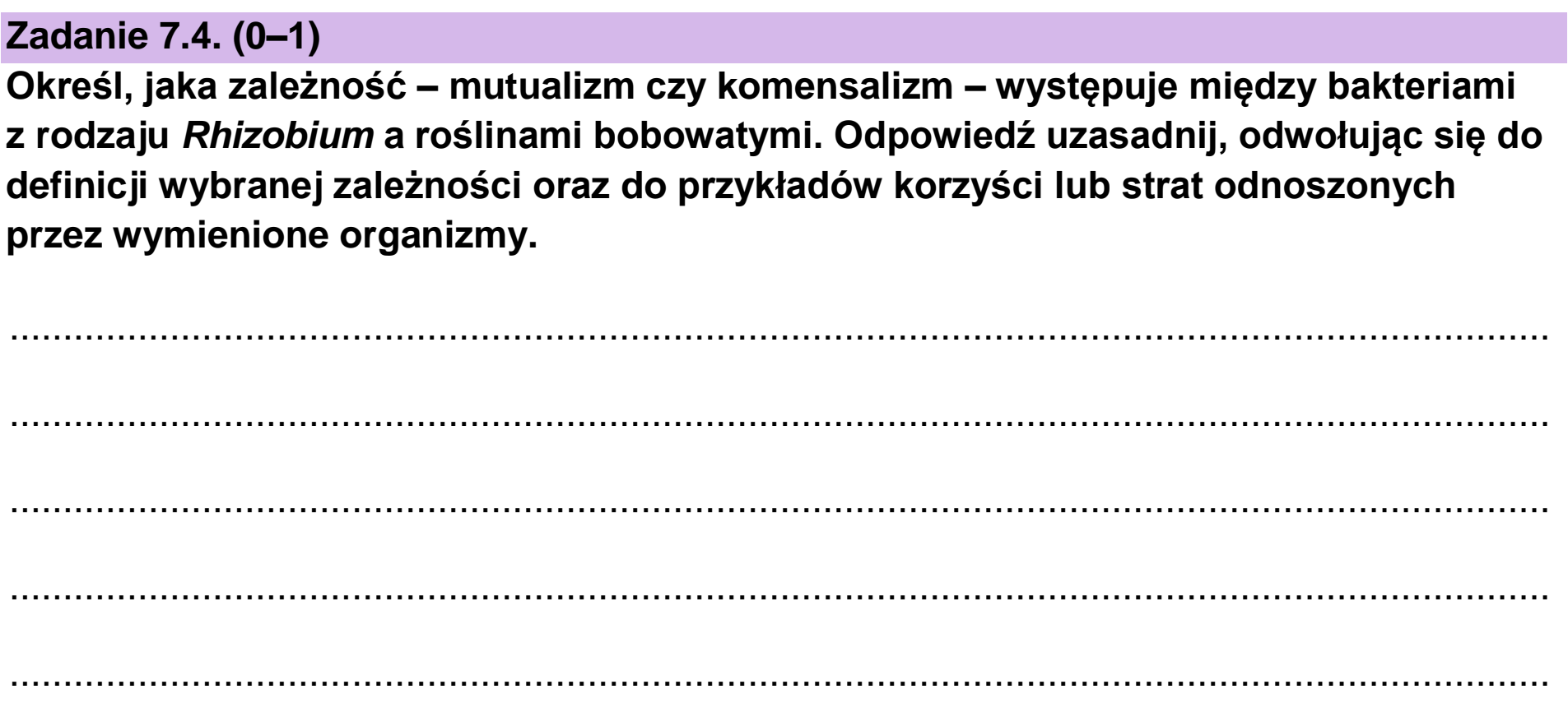 Matura dodatkowa, czerwiec 2023, zadanie 7.4