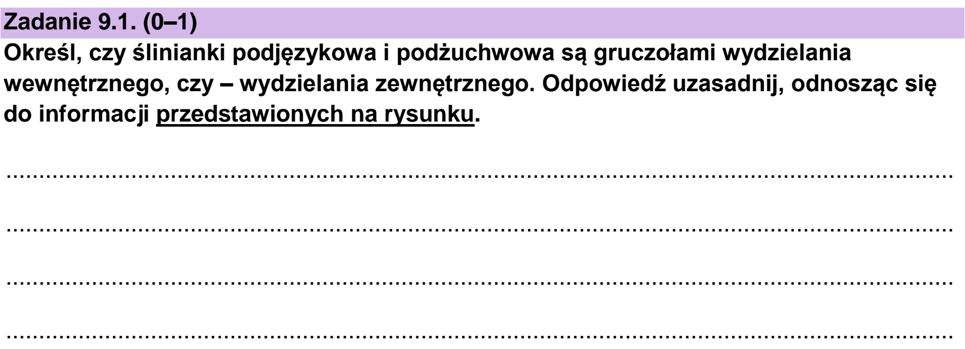 Matura dodatkowa, czerwiec 2023, zadanie 9.1