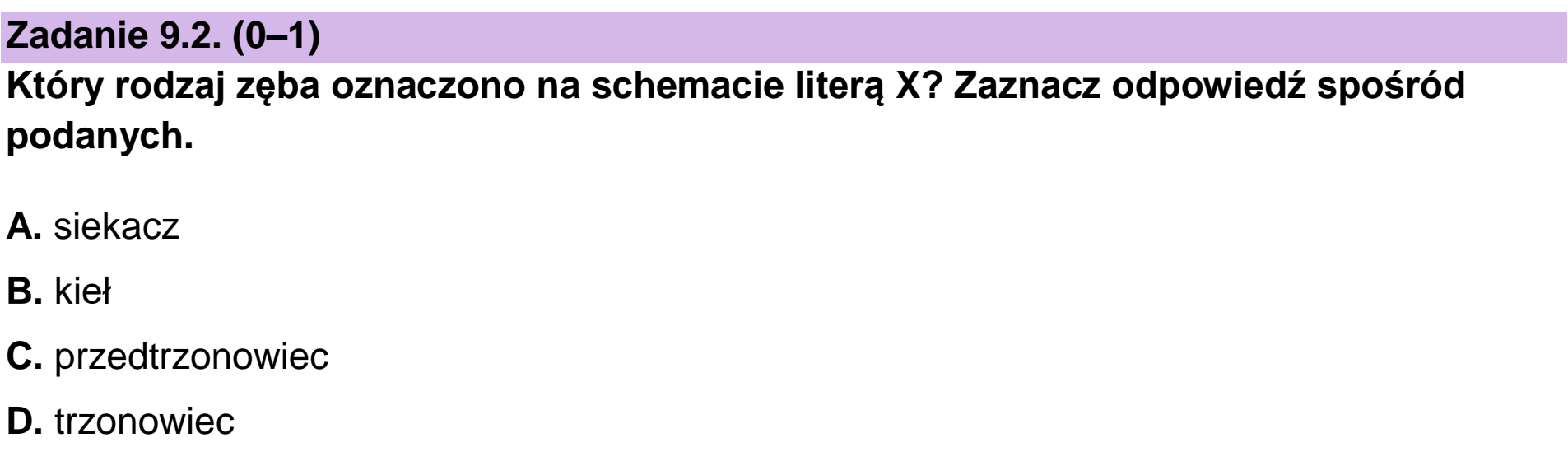 Matura dodatkowa, czerwiec 2023, zadanie 9.2