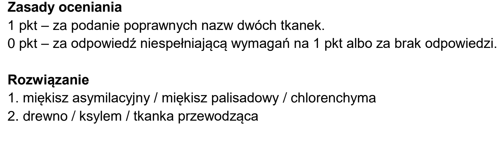 Matura dodatkowa, czerwiec 2024, odpowiedź do zadania 4.1