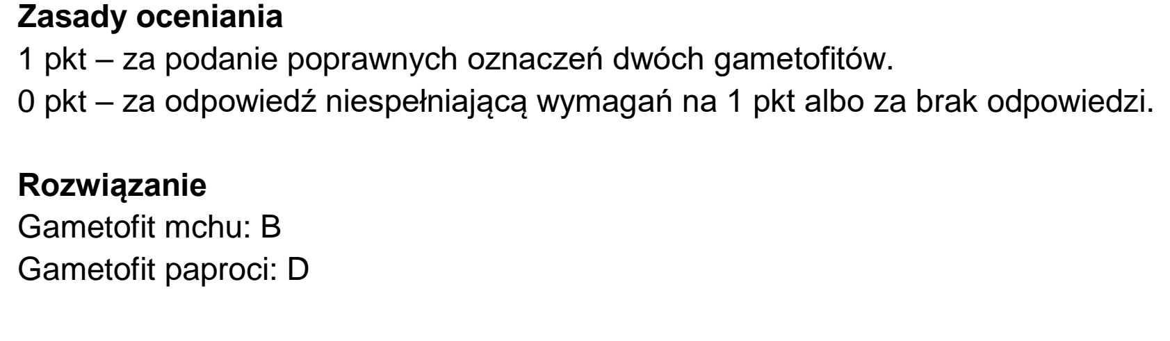 Matura dodatkowa, czerwiec 2024, odpowiedź do zadania 6.1