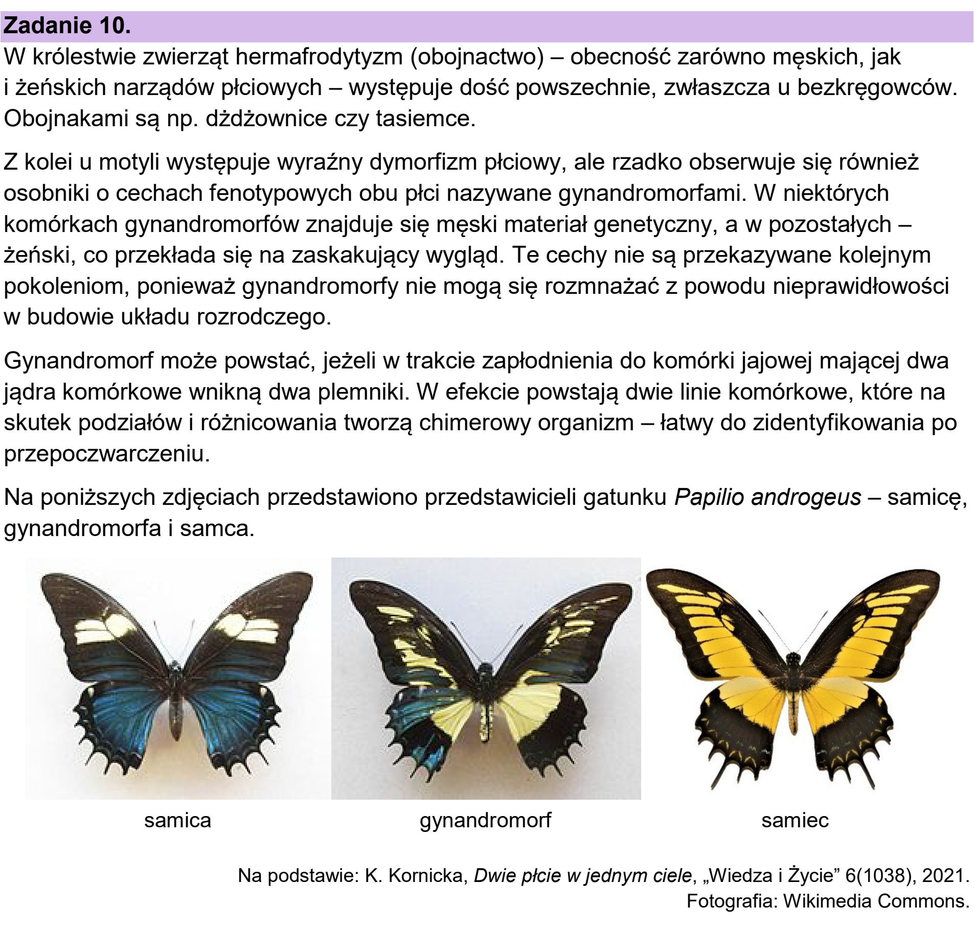 Matura dodatkowa, czerwiec 2024, wstęp zadania 10
