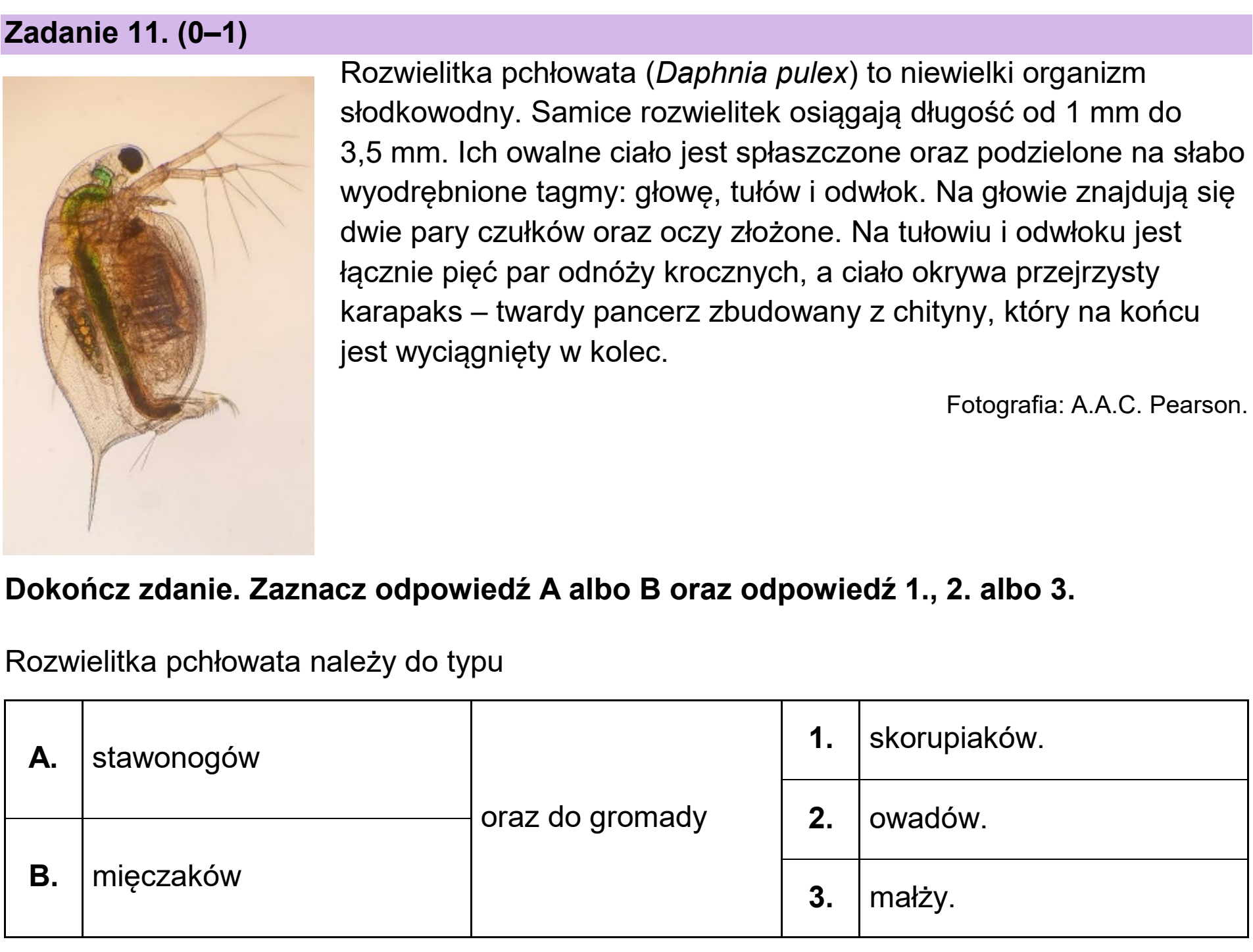 Matura dodatkowa, czerwiec 2024, podgląd zadania 11