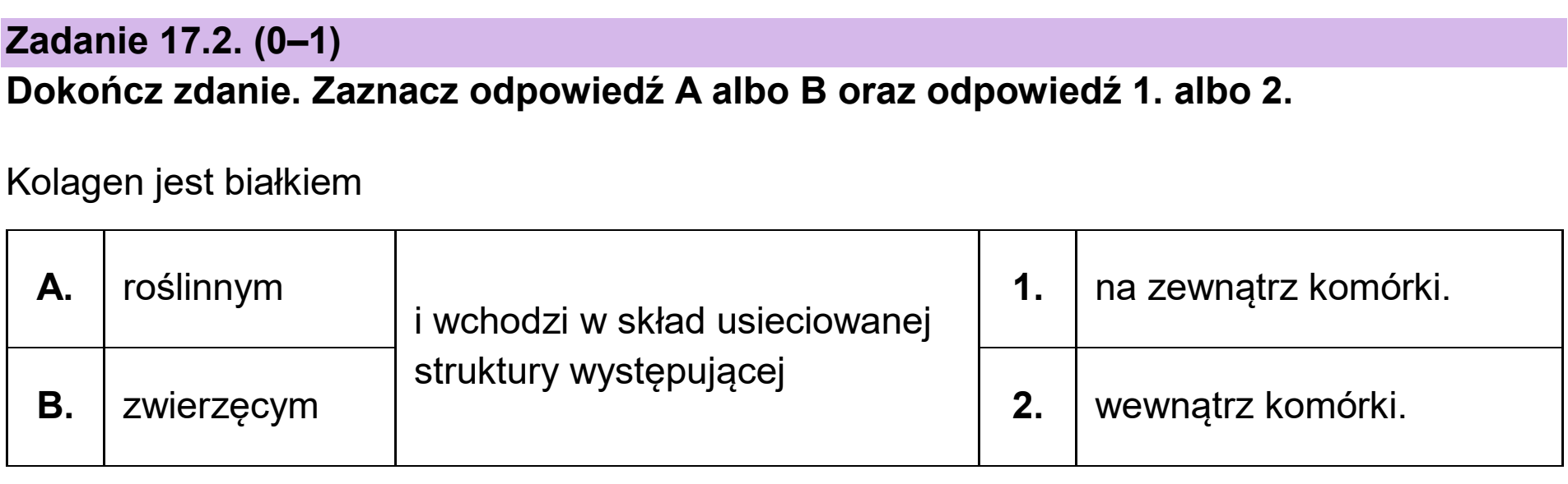 Matura dodatkowa, czerwiec 2024, zadanie 17.2