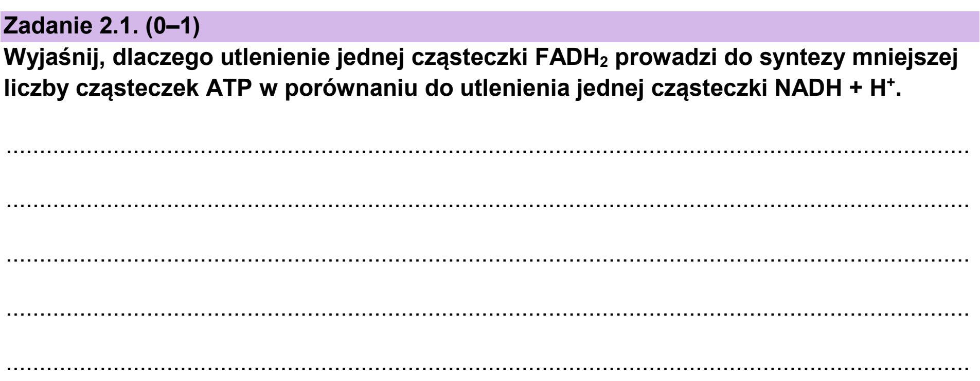 Matura dodatkowa, czerwiec 2024, zadanie 2.1