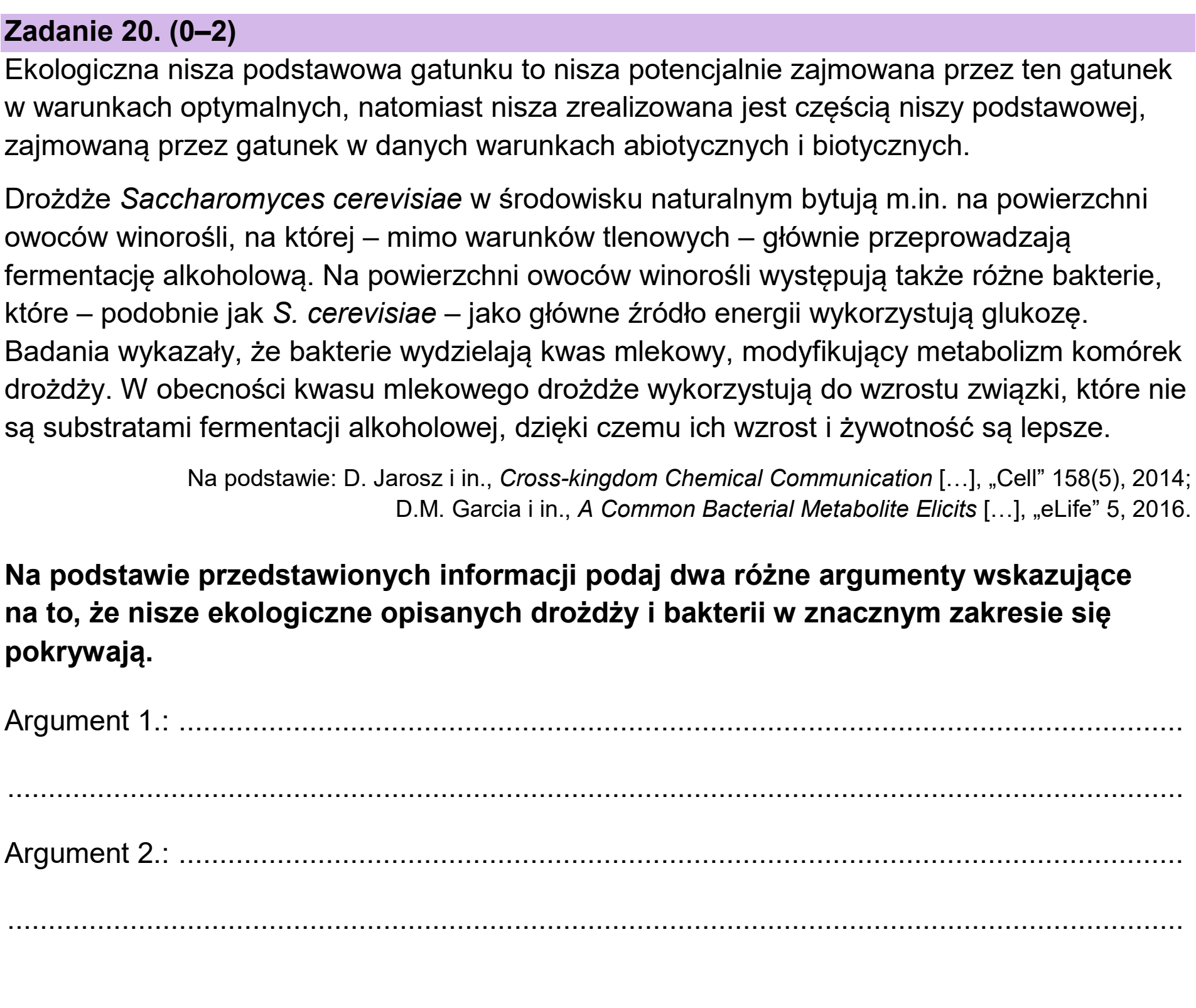 Matura dodatkowa, czerwiec 2024, podgląd zadania 20