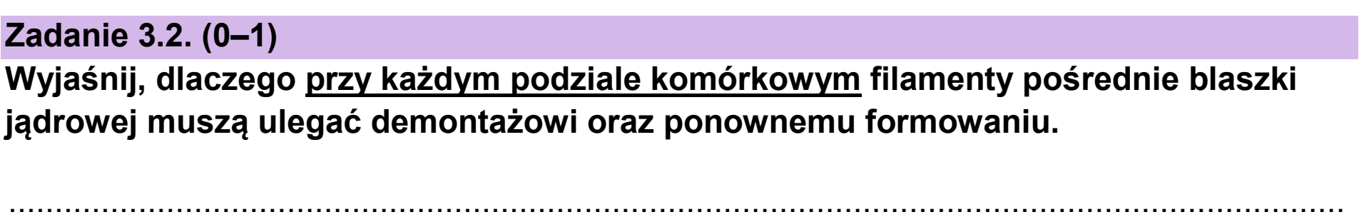 Matura dodatkowa, czerwiec 2024, zadanie 3.2