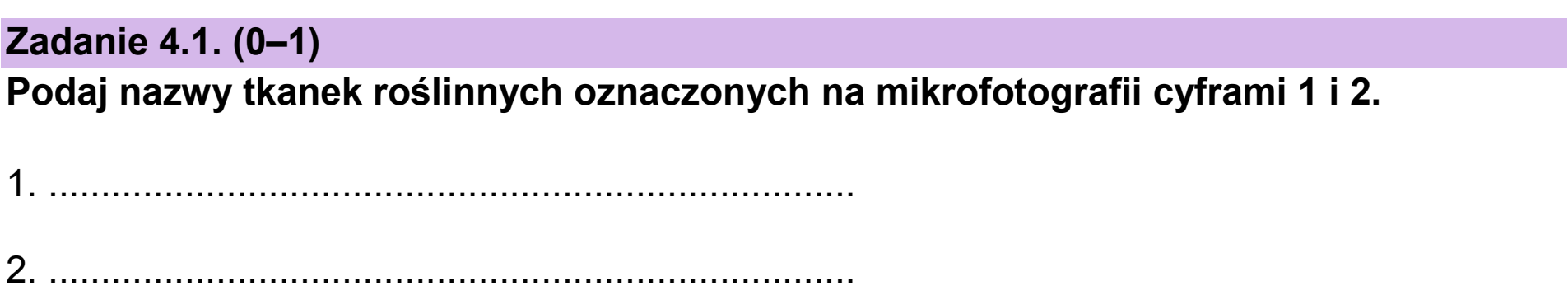 Matura dodatkowa, czerwiec 2024, zadanie 4.1