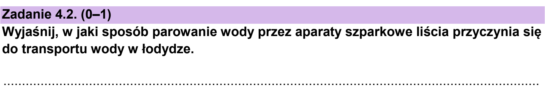 Matura dodatkowa, czerwiec 2024, zadanie 4.2