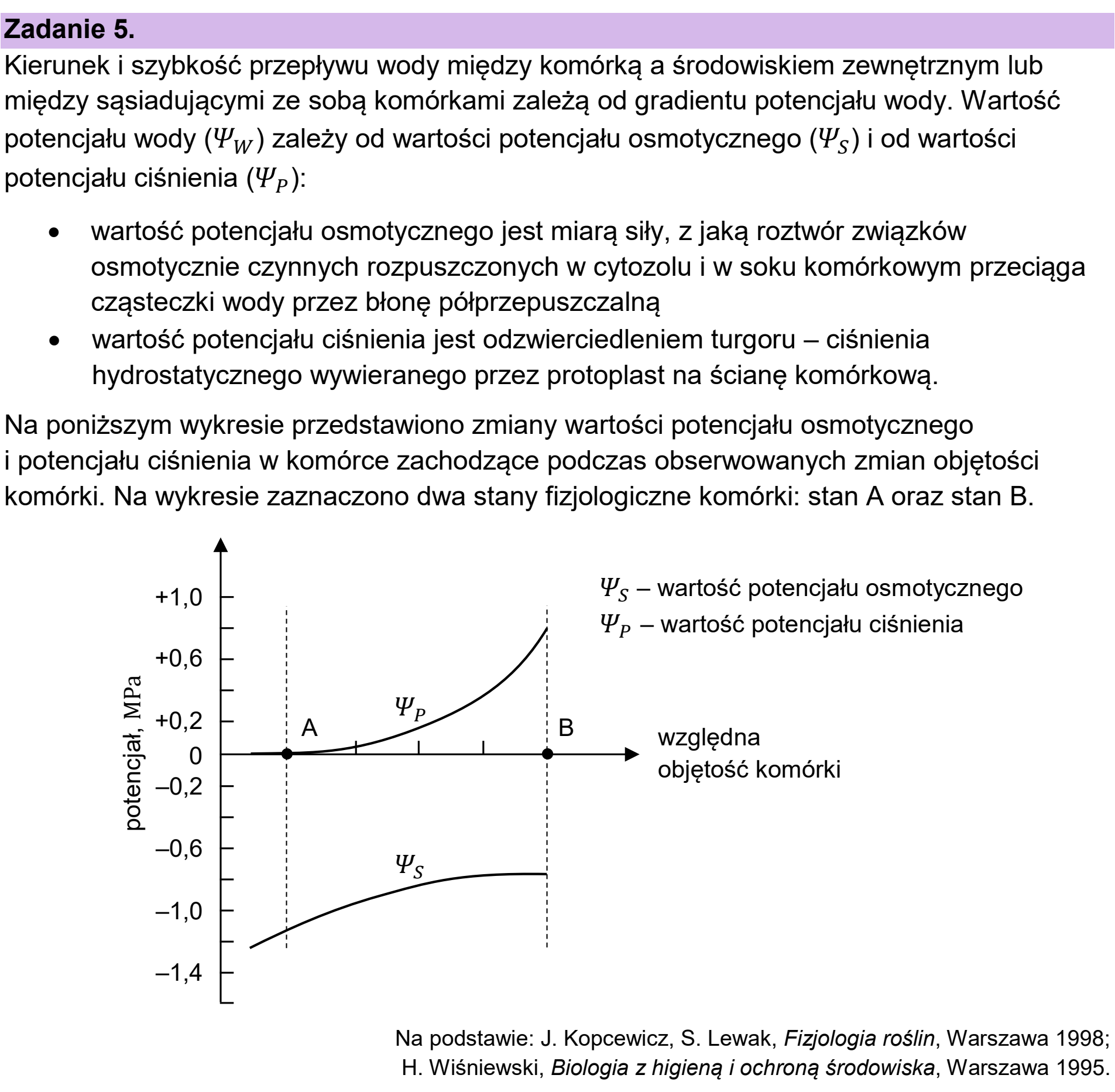 Matura dodatkowa, czerwiec 2024, wstęp zadania 5