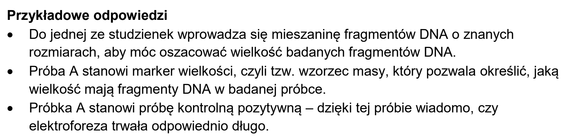 Matura dodatkowa, czerwiec 2025, odpowiedź do zadania 16.1, fragment 2