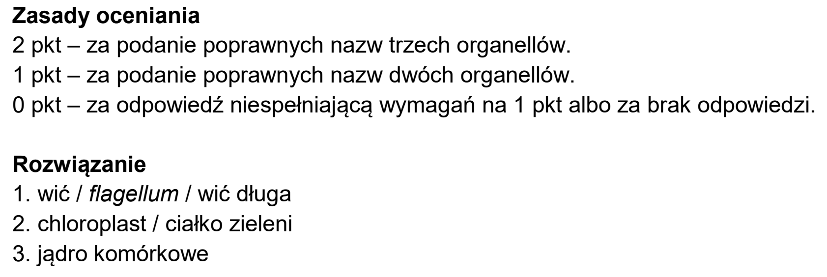 Matura dodatkowa, czerwiec 2025, odpowiedź do zadania 5