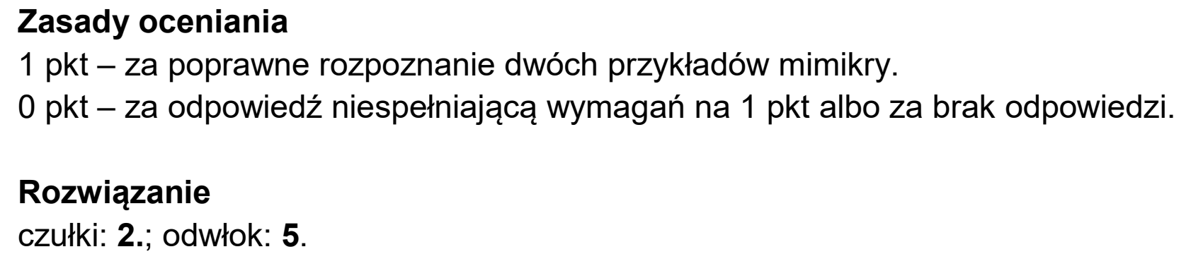 Matura dodatkowa, czerwiec 2025, odpowiedź do zadania 6.1