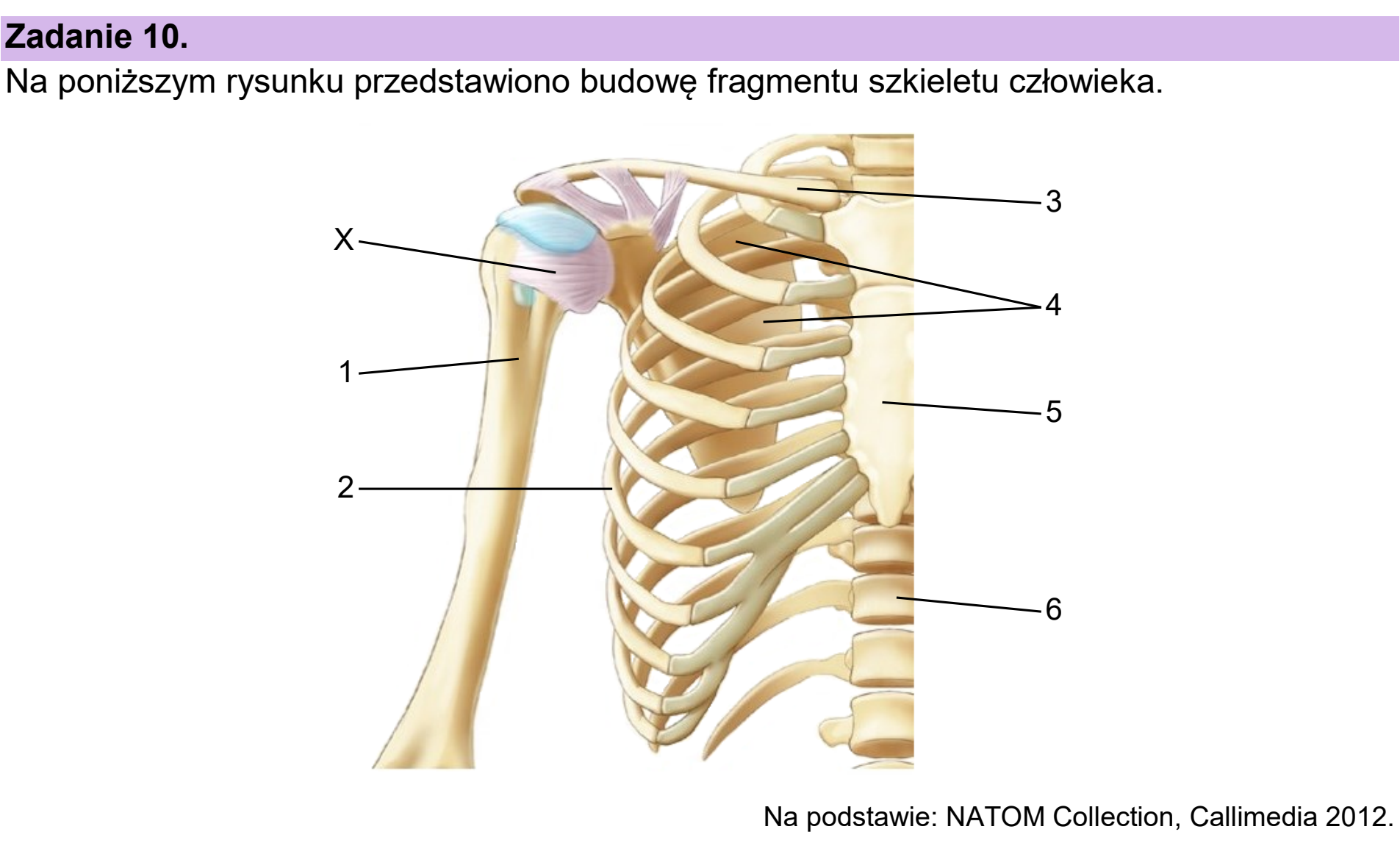 Matura dodatkowa, czerwiec 2025, wstęp zadania 10