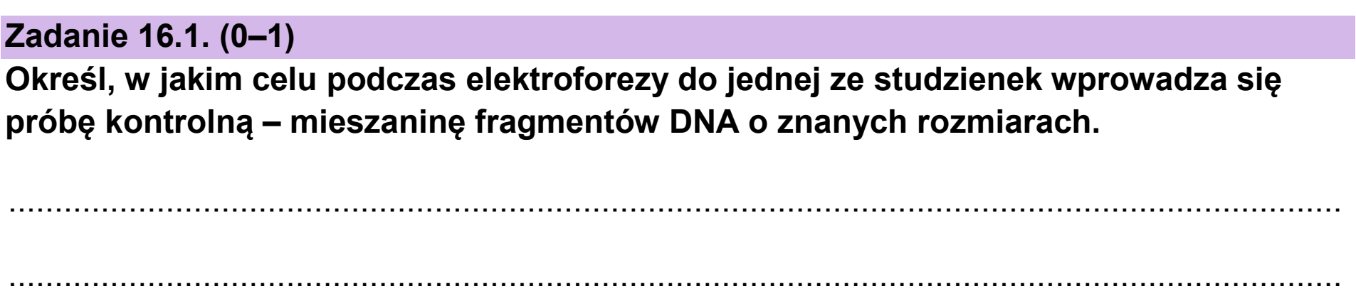 Matura dodatkowa, czerwiec 2025, zadanie 16.1