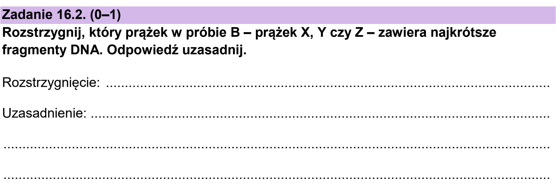 Matura dodatkowa, czerwiec 2025, zadanie 16.2