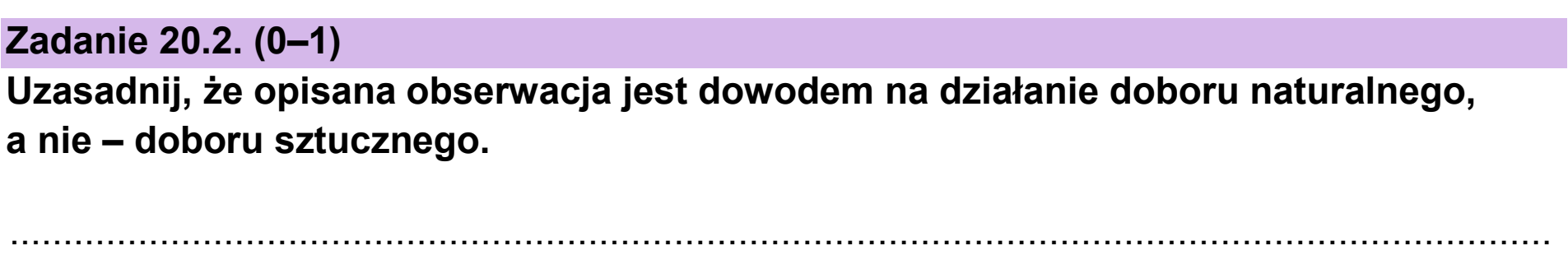 Matura dodatkowa, czerwiec 2025, zadanie 20.2