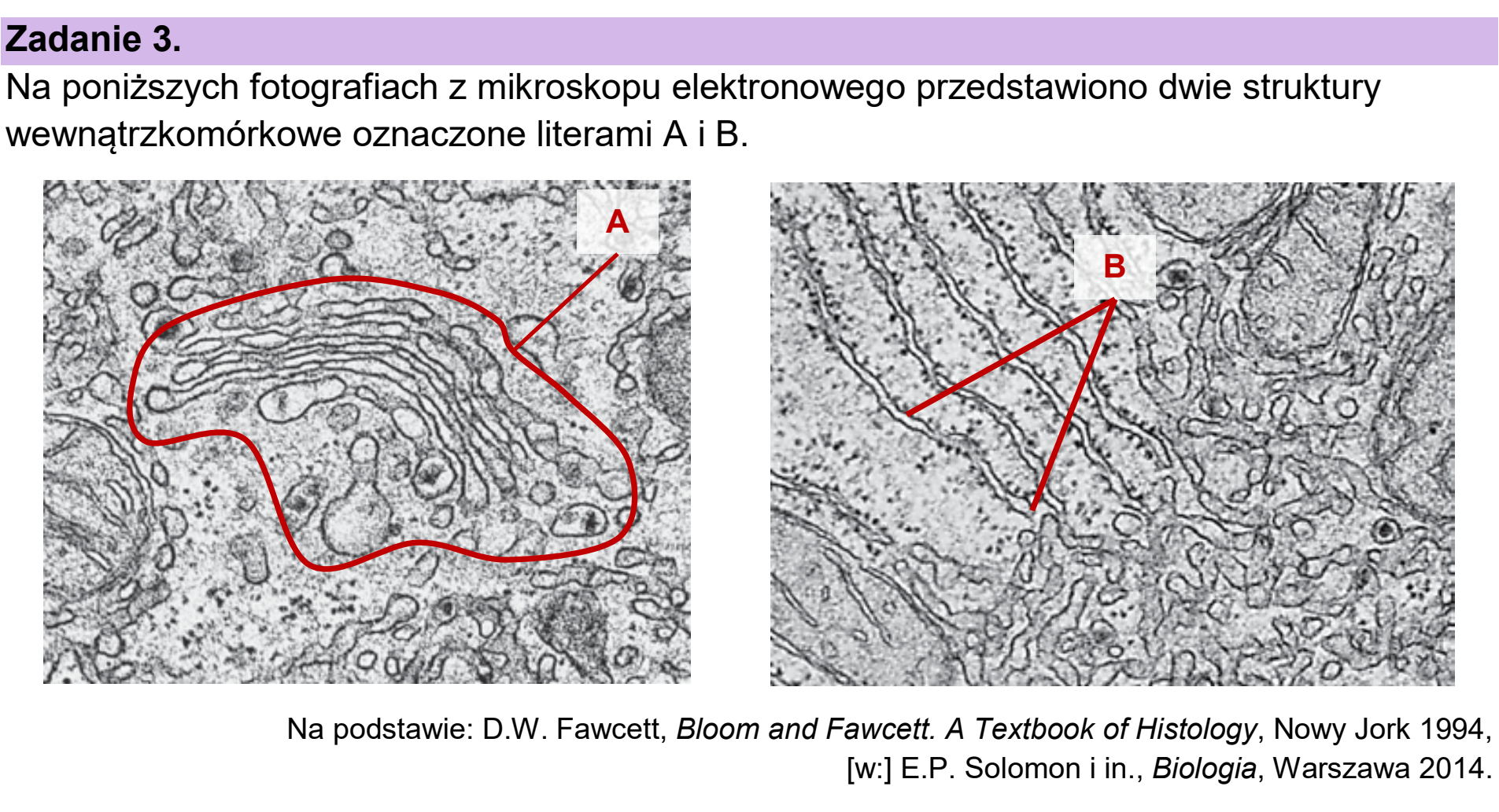 Matura dodatkowa, czerwiec 2025, wstęp zadania 3