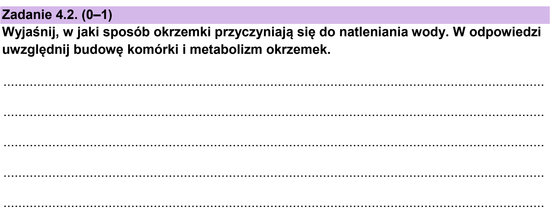 Matura dodatkowa, czerwiec 2025, zadanie 4.2