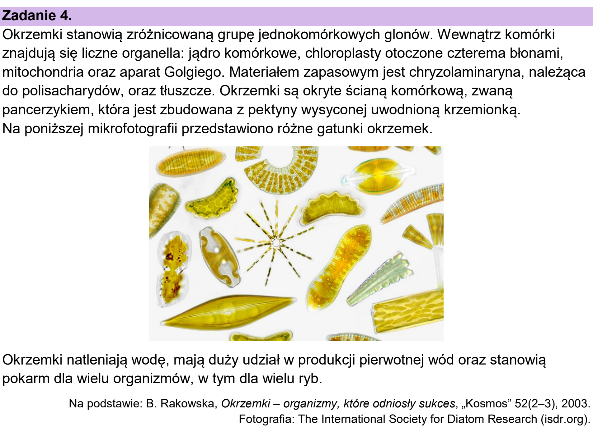 Matura dodatkowa, czerwiec 2025, wstęp zadania 4
