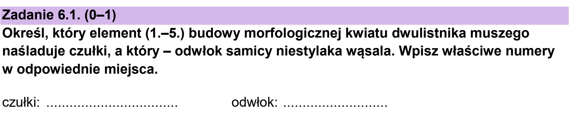 Matura dodatkowa, czerwiec 2025, zadanie 6.1