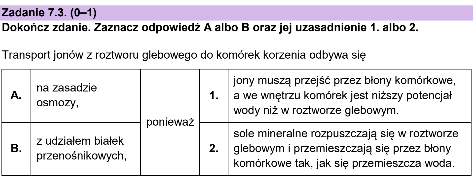 Matura dodatkowa, czerwiec 2025, zadanie 7.3