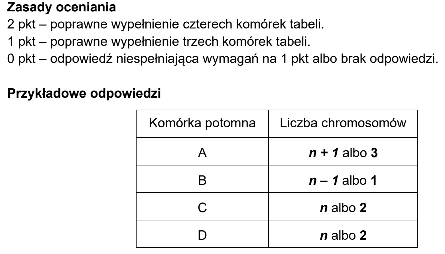 Matura dodatkowa, czerwiec 2026, odpowiedź do zadania 3.1, fragment 1