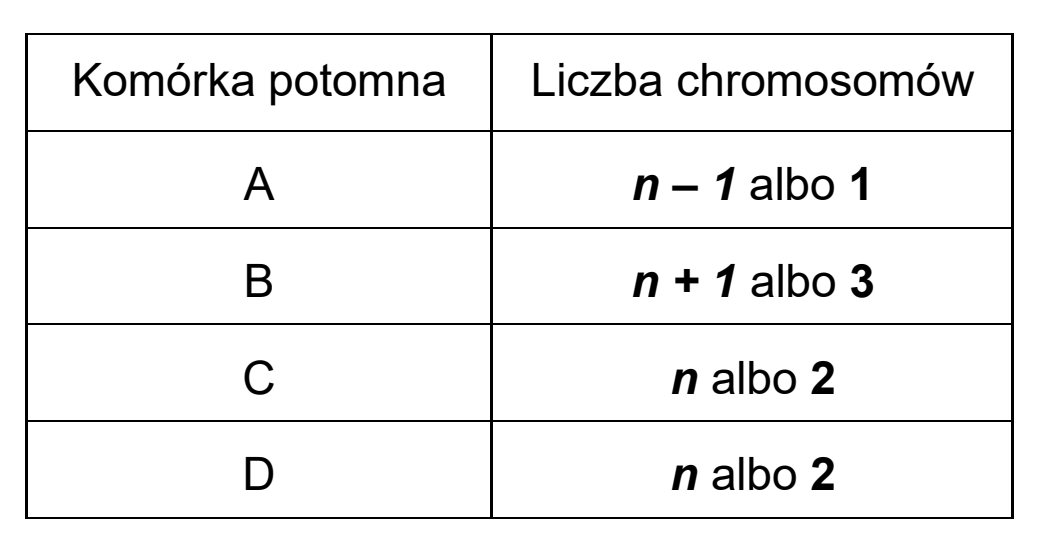 Matura dodatkowa, czerwiec 2026, odpowiedź do zadania 3.1, fragment 2