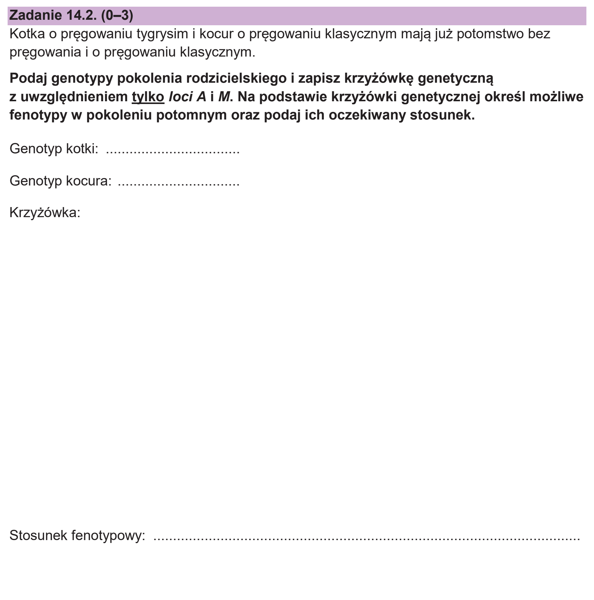 Matura dodatkowa, czerwiec 2026, zadanie 14.2