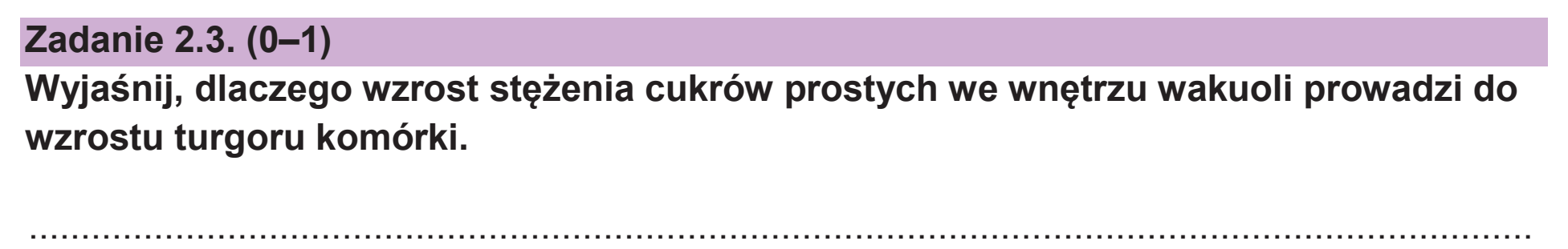 Matura dodatkowa, czerwiec 2026, zadanie 2.3