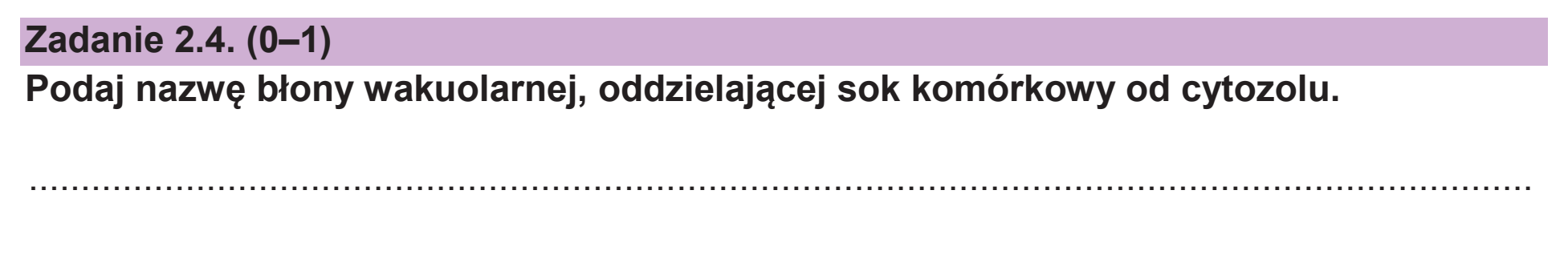 Matura dodatkowa, czerwiec 2026, zadanie 2.4