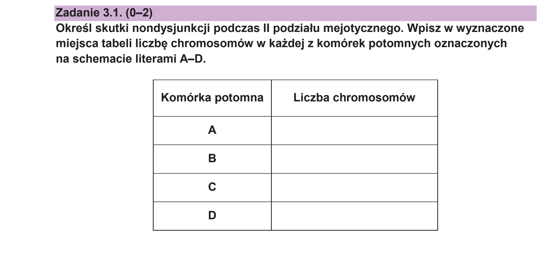 Matura dodatkowa, czerwiec 2026, zadanie 3.1