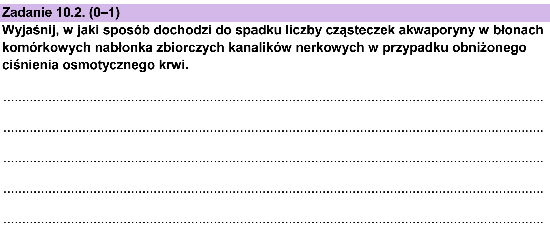 Matura próbna, grudzien 2022, zadanie 10.2