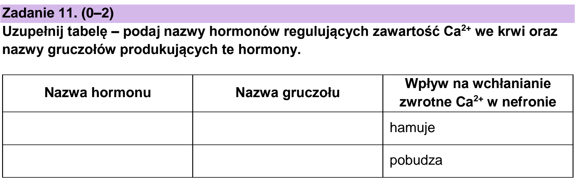 Matura próbna, grudzien 2022, podgląd zadania 11