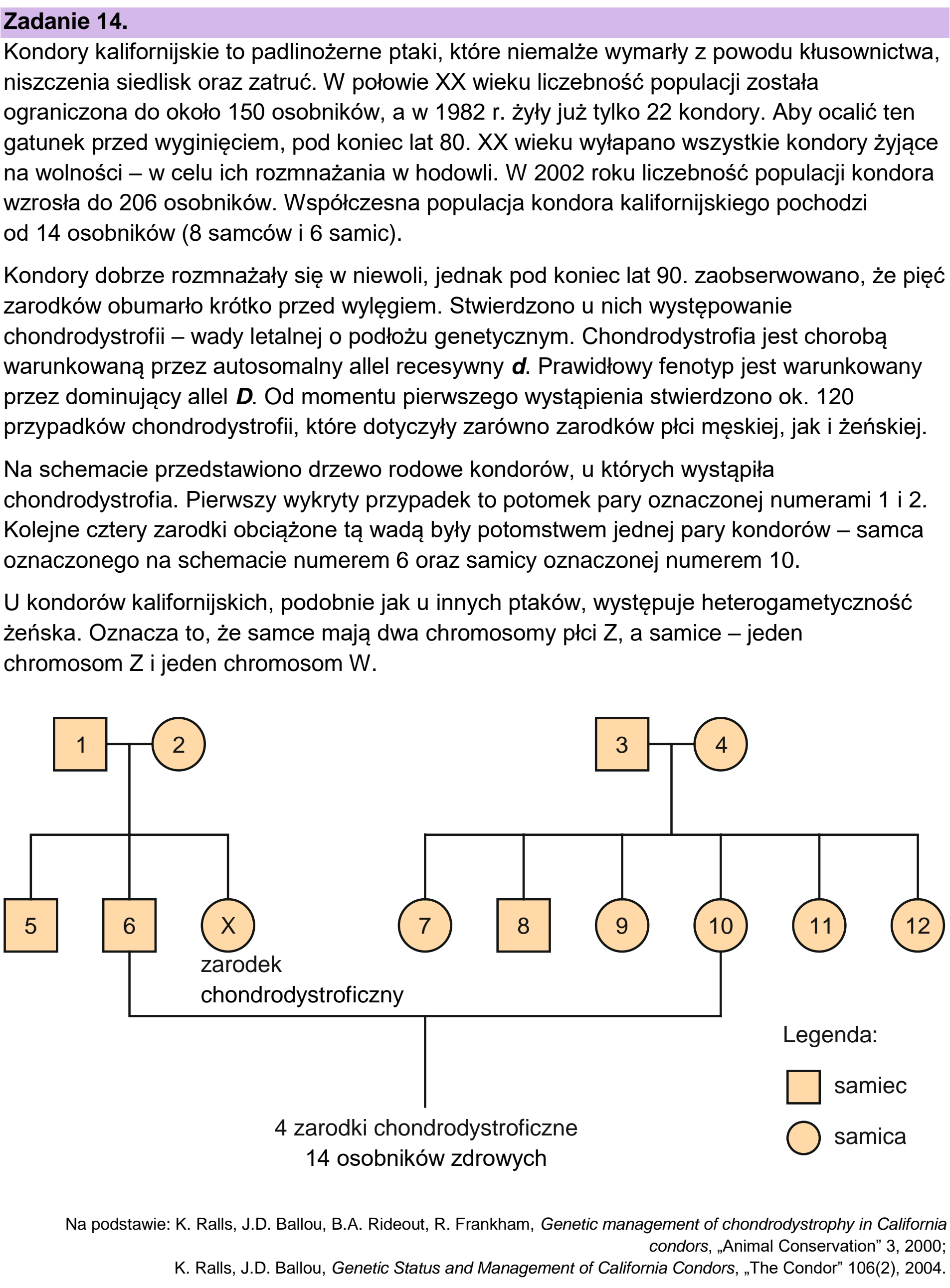 Matura próbna, grudzien 2022, wstęp zadania 14