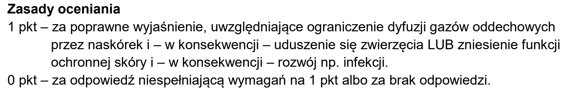 Matura próbna, grudzien 2024, odpowiedź do zadania 19.1